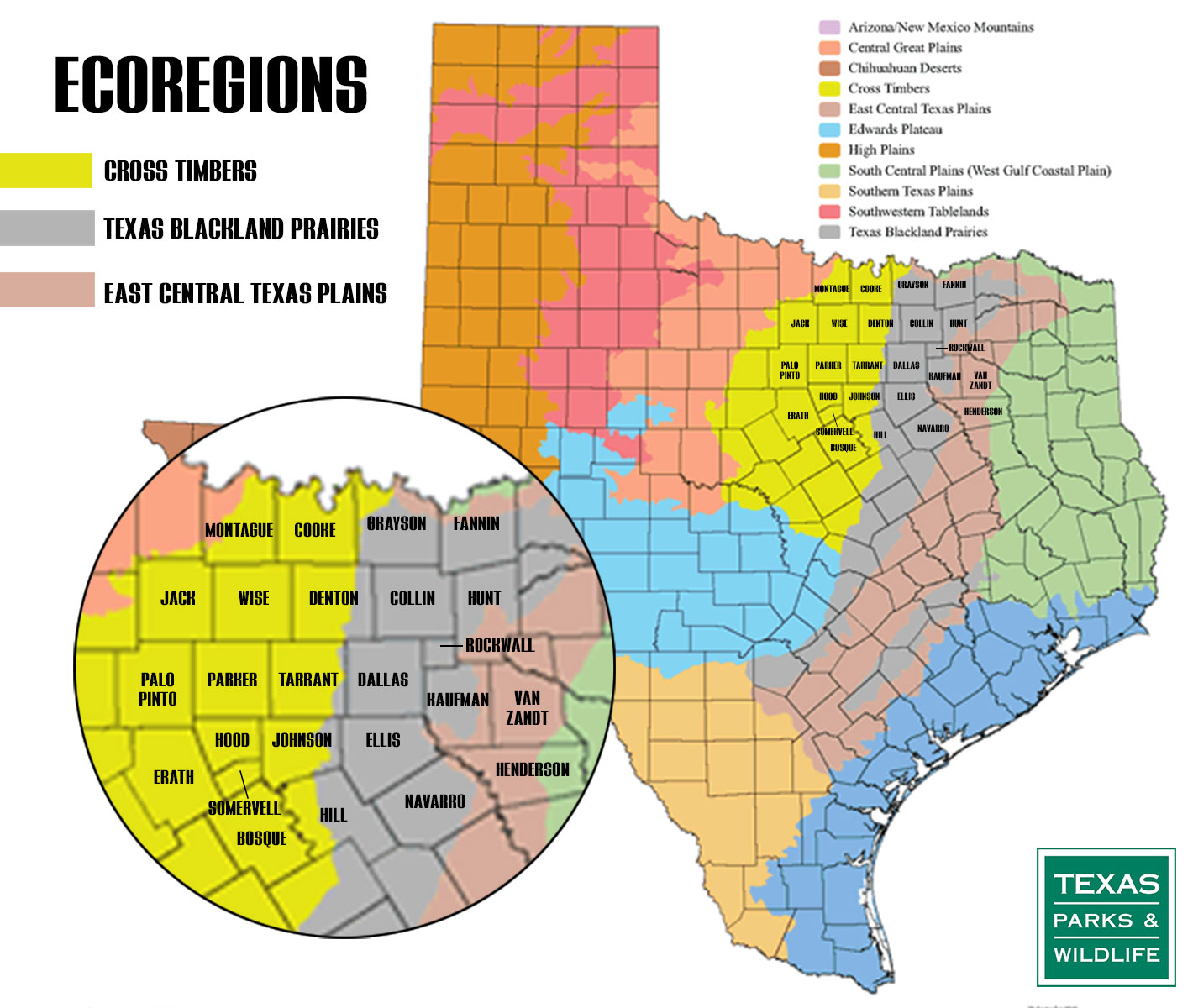 Choosing the Right Turf Grass Variety - Tri-Tex Grass